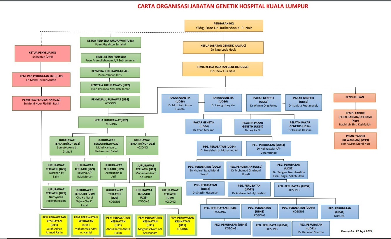 Carta Organisasi Genetik
